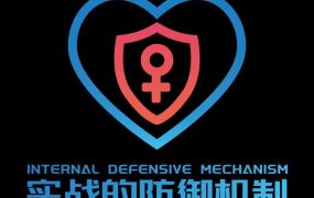 瑞恩情感《实战的聊天防御》