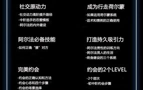 Chris团队《魅力系统私教课》