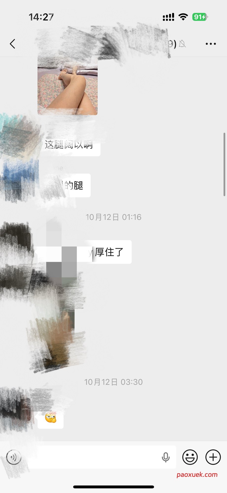 泡学社群(会员服务):包含什么、怎么交付、适合谁插图 社群日常对话(1)